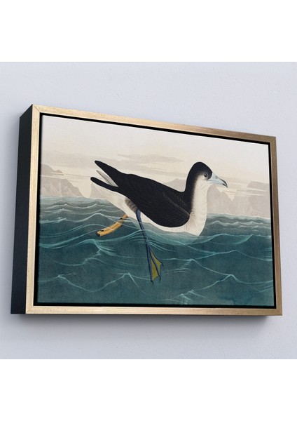 Çerçeveli Dekoratif Kanvas Tablo, Robert Havell, John James Audubon Esmer Kuş TABLOSU-7034