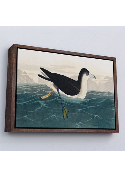 Çerçeveli Dekoratif Kanvas Tablo, Robert Havell, John James Audubon Esmer Kuş TABLOSU-7034 fiyatları