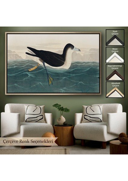 Çerçeveli Dekoratif Kanvas Tablo, Robert Havell, John James Audubon Esmer Kuş TABLOSU-7034