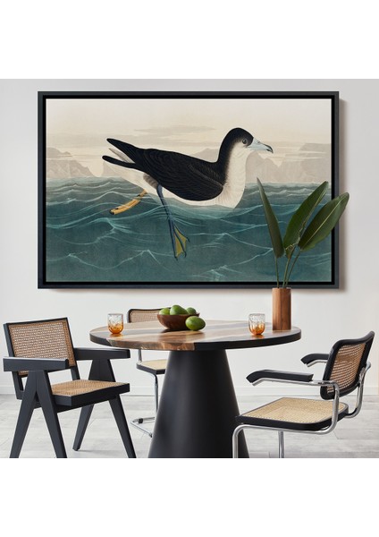 Çerçeveli Dekoratif Kanvas Tablo, Robert Havell, John James Audubon Esmer Kuş TABLOSU-7034