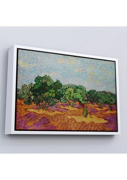 Çerçeveli Dekoratif Kanvas Tablo, Vincent Willem Van Gogh - Zeytin Ağaçları - Olive TREES-7155