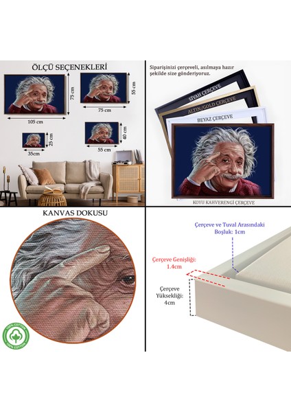 Çerçeveli Dekoratif Kanvas Tablo, Albert Einstein TABLOSU-7252 indirimleri