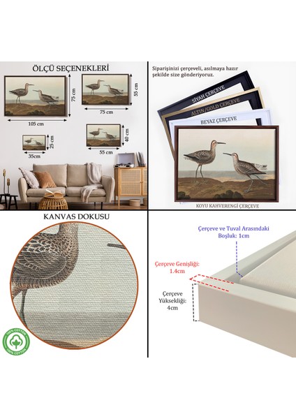 Çerçeveli Dekoratif Kanvas Tablo, John James Audubonun Birds Of America TABLOSU-7011 indirimleri