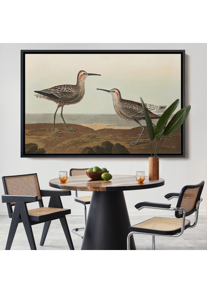 Çerçeveli Dekoratif Kanvas Tablo, John James Audubonun Birds Of America TABLOSU-7011