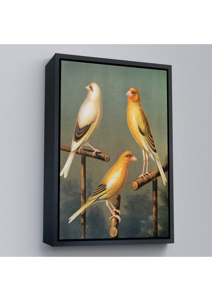 Çerçeveli Dekoratif Kanvas Tablo, Blakston - Sarı Saka Kuşu ve Kahomeya TABLOSU-7311