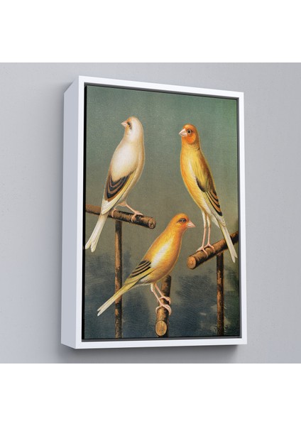 Çerçeveli Dekoratif Kanvas Tablo, Blakston - Sarı Saka Kuşu ve Kahomeya TABLOSU-7311 fırsatları