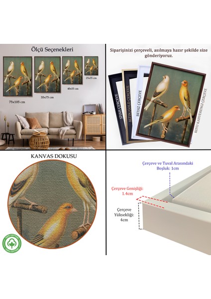 Çerçeveli Dekoratif Kanvas Tablo, Blakston - Sarı Saka Kuşu ve Kahomeya TABLOSU-7311 indirimleri