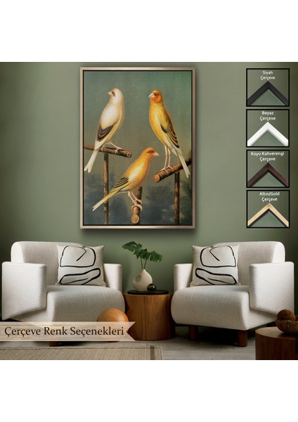Çerçeveli Dekoratif Kanvas Tablo, Blakston - Sarı Saka Kuşu ve Kahomeya TABLOSU-7311
