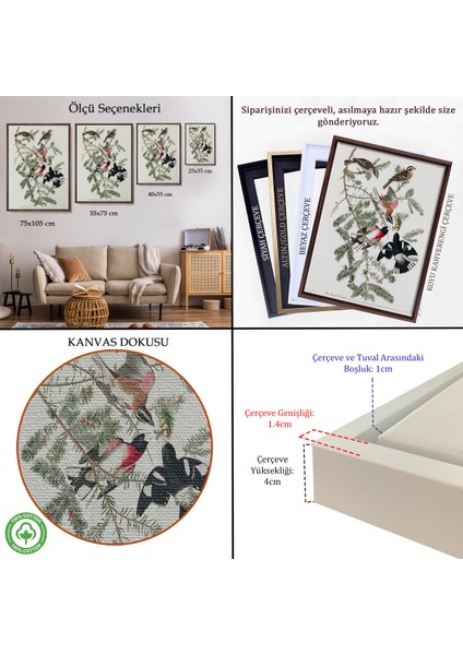 Çerçeveli Kanvas Tablo, John James Audubon - Gül Göğüslü Kocabaş Tablo - Rose-Breasted GROSBEAK-8043 indirimleri