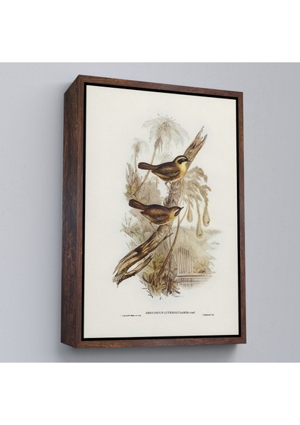 Çerçeveli Dekoratif Kanvas Tablo, Dal Üzerindeki Kuşlar TABLOSU-8022 fiyatları