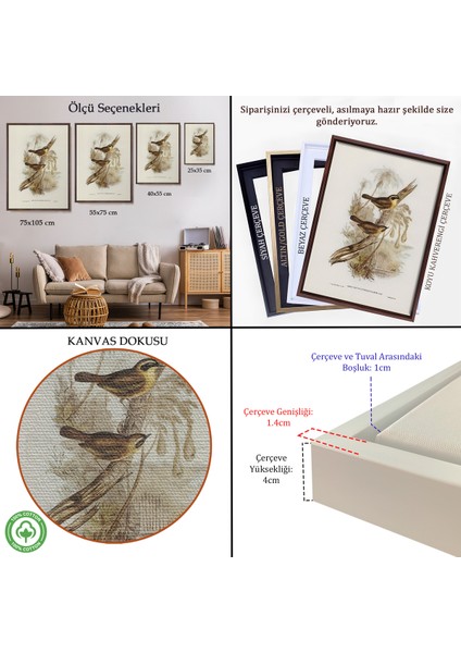 Çerçeveli Dekoratif Kanvas Tablo, Dal Üzerindeki Kuşlar TABLOSU-8022 indirimleri