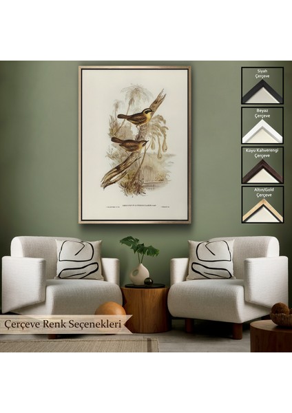 Çerçeveli Dekoratif Kanvas Tablo, Dal Üzerindeki Kuşlar TABLOSU-8022