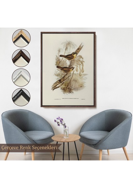 Çerçeveli Dekoratif Kanvas Tablo, Dal Üzerindeki Kuşlar TABLOSU-8022