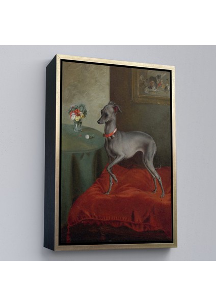 Çerçeveli Dekoratif Kanvas Tablo, Kırmızı Yastık Üzerinde Bir Italyan Tazısı TABLO-8061 fiyatları