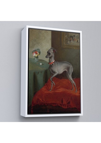 Çerçeveli Dekoratif Kanvas Tablo, Kırmızı Yastık Üzerinde Bir Italyan Tazısı TABLO-8061 fırsatları