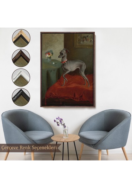 Çerçeveli Dekoratif Kanvas Tablo, Kırmızı Yastık Üzerinde Bir Italyan Tazısı TABLO-8061