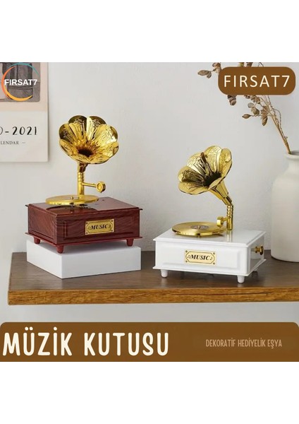 Özel Tasarım Nostaljik Gramafon Hareketli Müzik Kutusu ve Takı Kutusu Hareketli Müzikli Gramofon