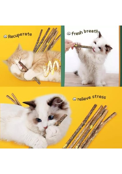 Doğal Matatabi Kedi Çiğneme Çubuğu 5 Adet 15 mm Kalın fiyatları