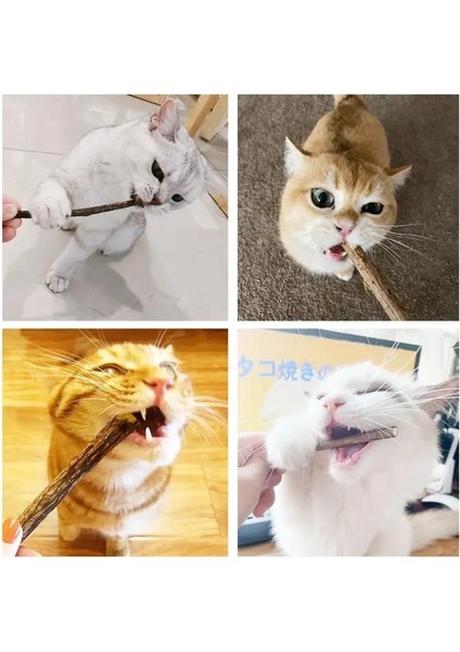 Doğal Matatabi Kedi Çiğneme Çubuğu 5 Adet 15 mm Kalın modelleri