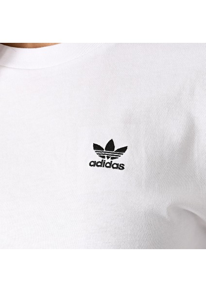 Originals Loungwear Adıcolor Classıcs Kadın T-SHIRT(GN2924) fiyatları