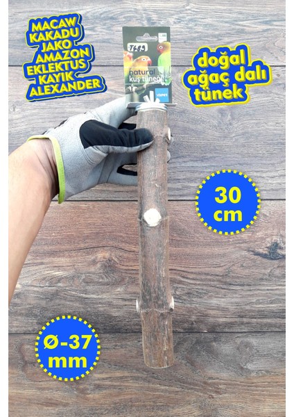 Venty Doğal Papağan Tüneği 30 cm | Macaw, Kakadu, Jako, Amazon, Eklektus, Kayık, Alexander - T489