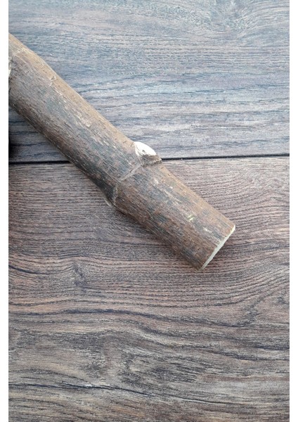 Venty Doğal Papağan Tüneği 30 cm | Macaw, Kakadu, Jako, Amazon, Eklektus, Kayık, Alexander - T489 modelleri