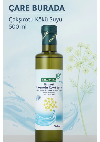 Ekstraktlı Çakşırotu Kökü Suyu 500 ml