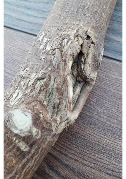 Venty Doğal Papağan Tüneği 39 cm - Ø Çapı 50 mm | Macaw, Kakadu, Jako, Amazon, Eklektus, Kayık, Alexander - T451 fırsatları