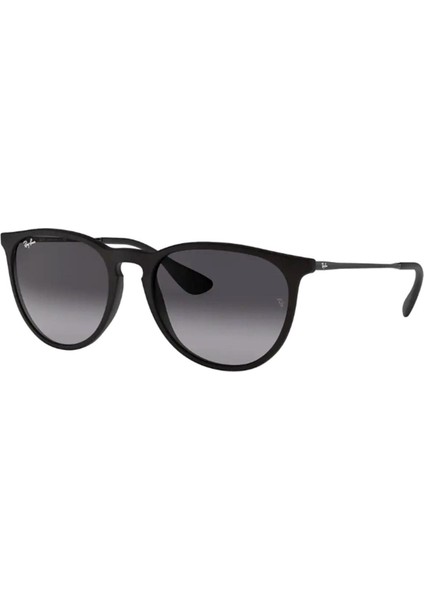 Rb 4171 6228g 54 Erika Unisex Güneş Gözlüğü fiyatları
