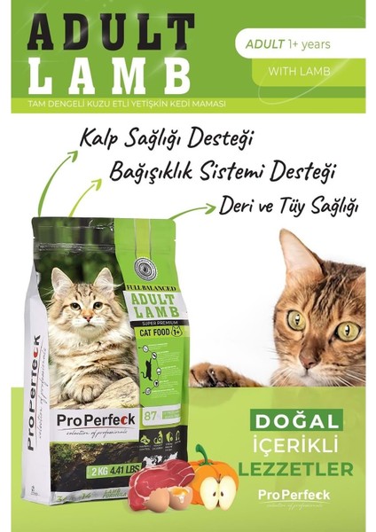 Gnd Pro Perfeck Premium Kuzulu Bal Kabaklı ve Elmalı Kedi Maması 2 kg