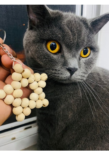 5lı- El Yapımı Ahşap Yıldız Anahtarlık – Doğal ve Şık Tasarım Bej