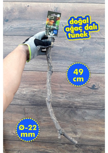 Venty 49 cm Doğal Papağan Tüneği | Sultan, Monk, Lori, Konur, Senegal, Cennet, Muhabbet, Forpus - T600 | Şekilli Dal Tünek