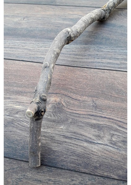 Venty 49 cm Doğal Papağan Tüneği | Sultan, Monk, Lori, Konur, Senegal, Cennet, Muhabbet, Forpus - T600 | Şekilli Dal Tünek fiyatları