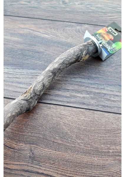 Venty 49 cm Doğal Papağan Tüneği | Sultan, Monk, Lori, Konur, Senegal, Cennet, Muhabbet, Forpus - T600 | Şekilli Dal Tünek fırsatları