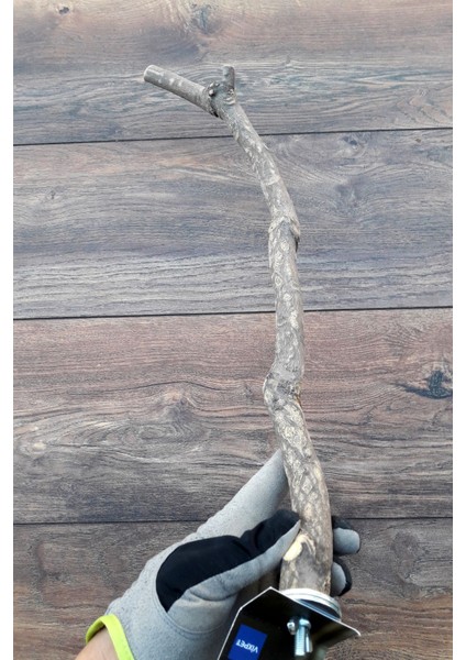 Venty 49 cm Doğal Papağan Tüneği | Sultan, Monk, Lori, Konur, Senegal, Cennet, Muhabbet, Forpus - T600 | Şekilli Dal Tünek indirimleri