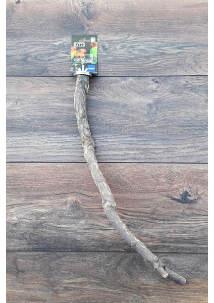 Venty 49 cm Doğal Papağan Tüneği | Sultan, Monk, Lori, Konur, Senegal, Cennet, Muhabbet, Forpus - T600 | Şekilli Dal Tünek