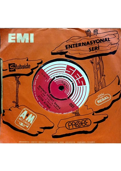 Ayten Alpman – Tek Başına / Sevince Her Şey Başka 45'lik fiyatları