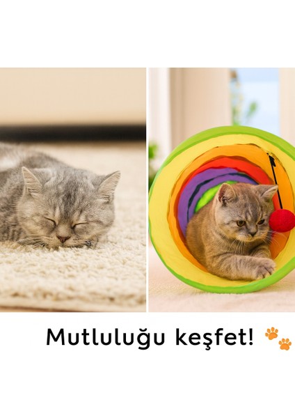 Renkli Kedi Macera Tüneli – 125 cm modelleri