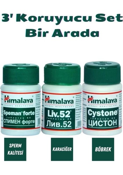 LIV52 + Cystone + Speman Forte Koruyucu Paket 60 Tablet