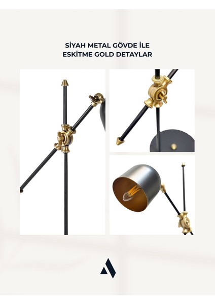 Orion Çalışma ve Okuma Masa Lambası – Ayarlanabilir, Metal Gövde, Ce Sertifikalı fırsatları