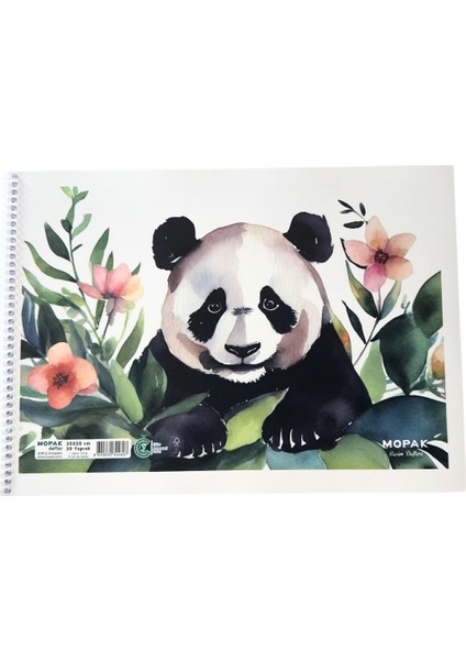 Carıoca Okula Dönüş Seti-4 Lü Set -25X35 30 -Yaprak Resim Defteri Hediye