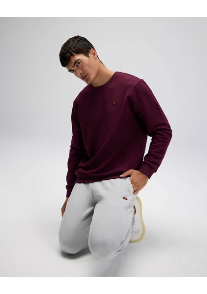 Bordo Erkek Sweatshirt EM579 fiyatları