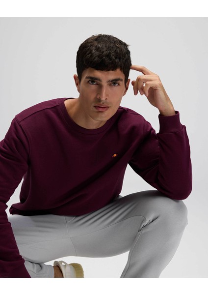 Bordo Erkek Sweatshirt EM579 modelleri