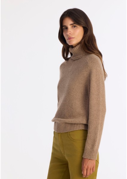 Regular Balıkçı Yaka Uzun Kol Kazak fiyatları