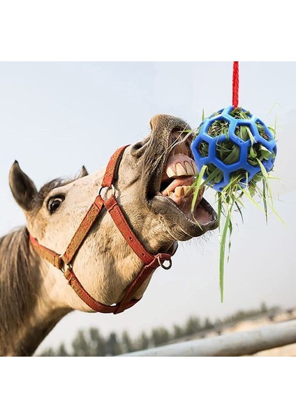 At Molası Asmalı Saman Yemliği, 2 Parça (Yurt Dışından) fırsatları