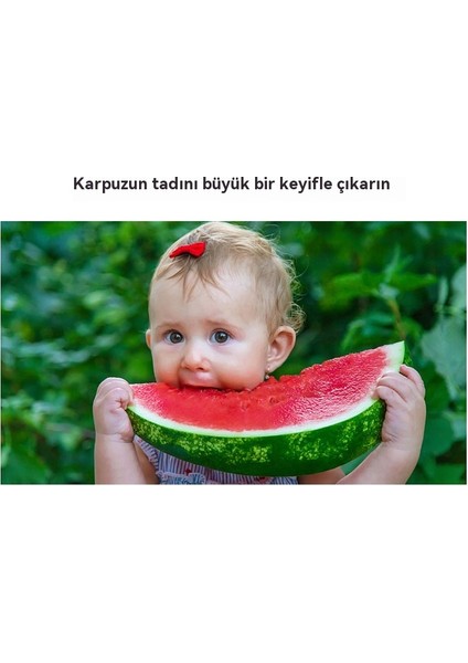 Karpuz Tohum Çıkarıcı (Yurt Dışından) indirimleri