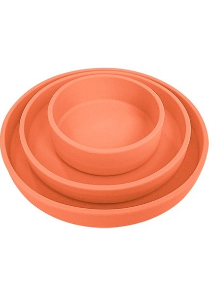 Ruyı 3 Set Özel Mama (Yurt Dışından)
