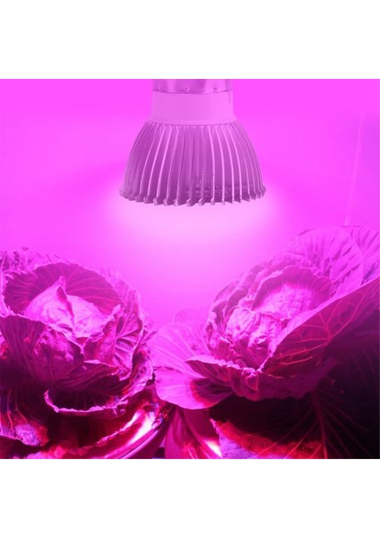 2 Adet E27 Bitki Büyüme Işığı 85-265V Tam Spektrumlu LED Büyüme Işığı Hidroponik Iç Mekan Bahçe Serası Için 28W (Yurt Dışından) modelleri