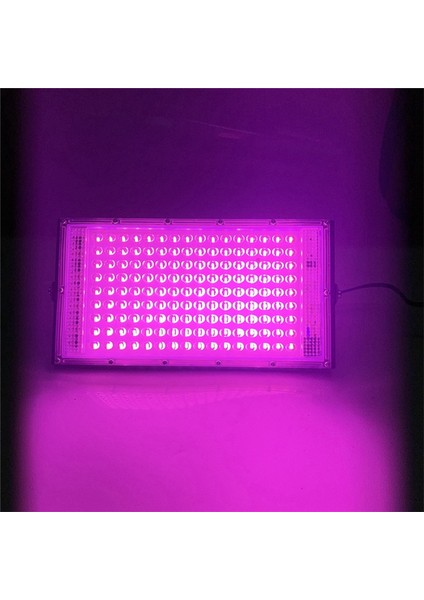 Bitkiler Için Tam Spektrum LED Büyüme Işığı Phytolamp Çadır Çiçek Tohumlama 200W Menzilli Lamba Dış Mekan Projektör Ab Fişi (Yurt Dışından) fiyatları