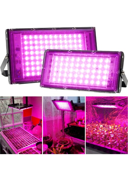Bitkiler Için 200W LED Yetiştirme Lambası Tam Spektrumlu Bitki Lambası Sera Büyüme Aydınlatması Kablo Fişi (Yurt Dışından) modelleri